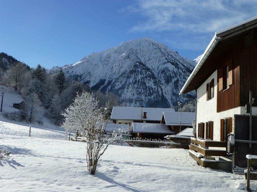 Appartement Haus Rosenbaechle à Bad Hindelang Extérieur photo